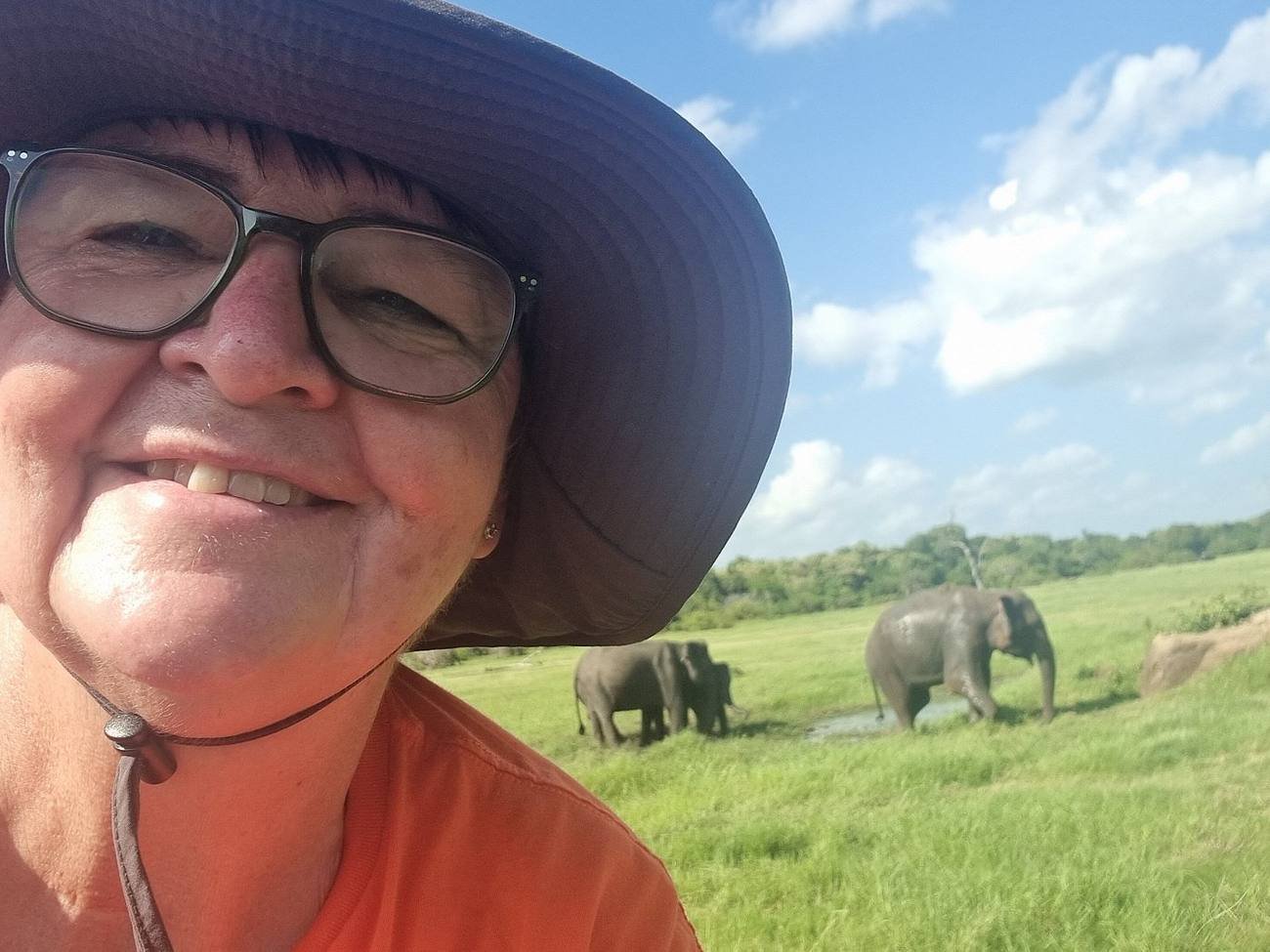 A traveller on safari with elephants in the background